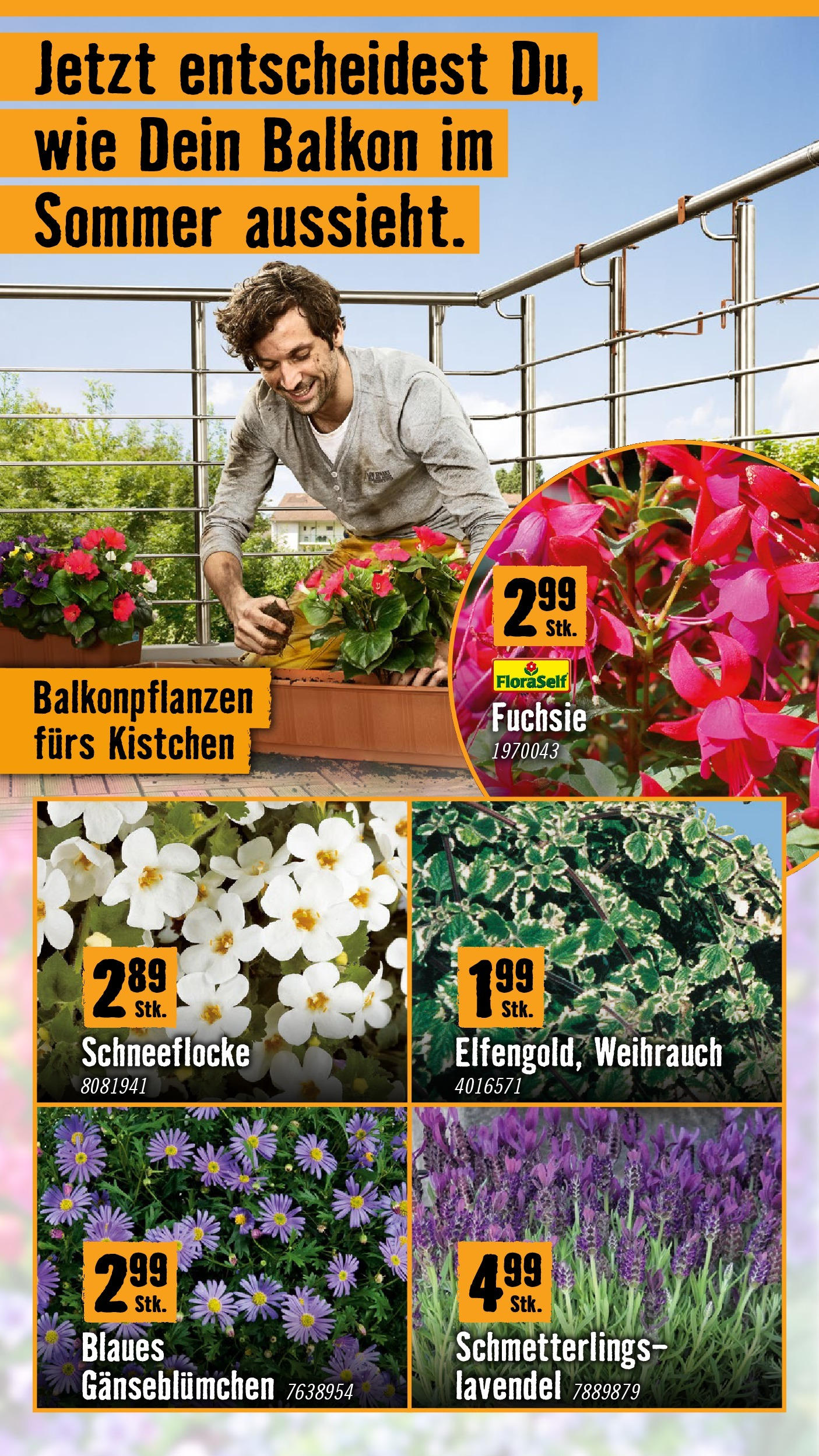 Hornbach Flugblatt (07.05.2025) || Aktuelle Angebote | Seite: 2 Hornbach Flugblatt von 07.05.2025 - Aktuelle Angebote | Seite: 2
