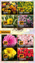 Hornbach Hornbach: Alles neu macht der Mai. Und Du! - bis 04.06.2025