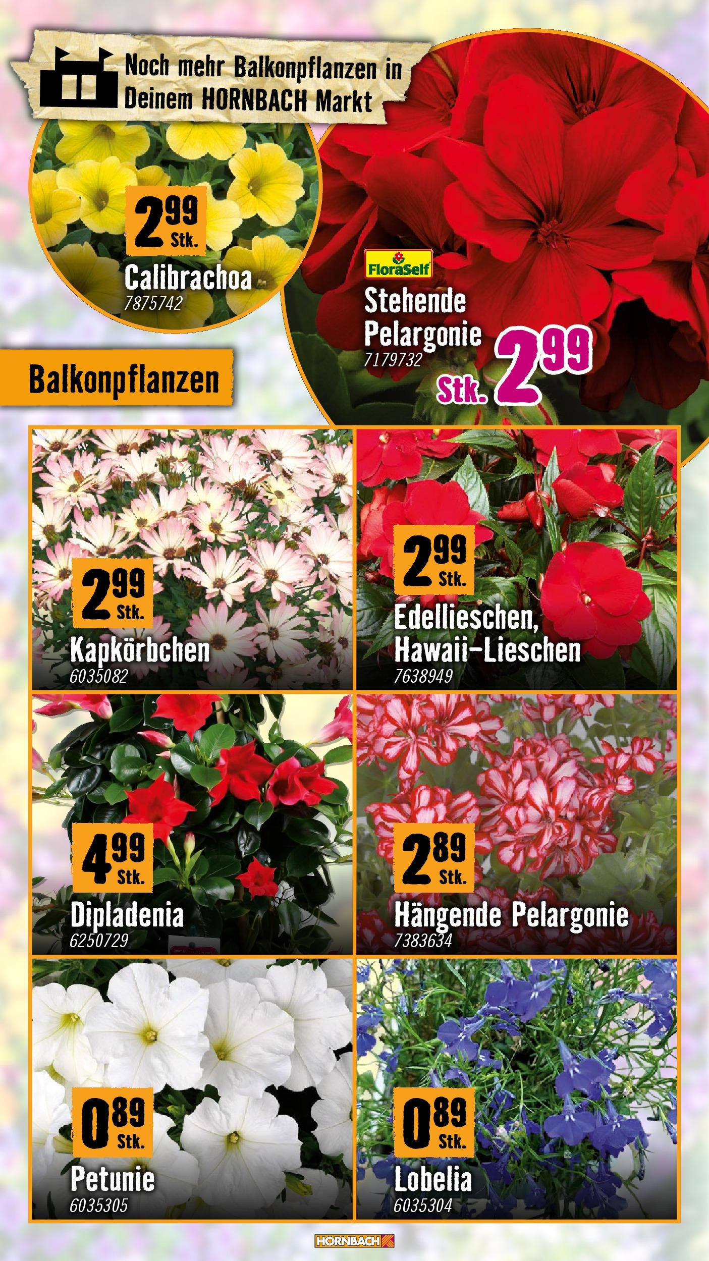 Hornbach Flugblatt (07.05.2025) || Aktuelle Angebote | Seite: 4 | Produkte: Gemüse, Chili, Kürbis Hornbach Flugblatt von 07.05.2025 - Aktuelle Angebote | Seite: 4 | Produkte: Gemüse, Chili, Kürbis