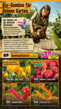 Hornbach Hornbach: Alles neu macht der Mai. Und Du! - bis 04.06.2025