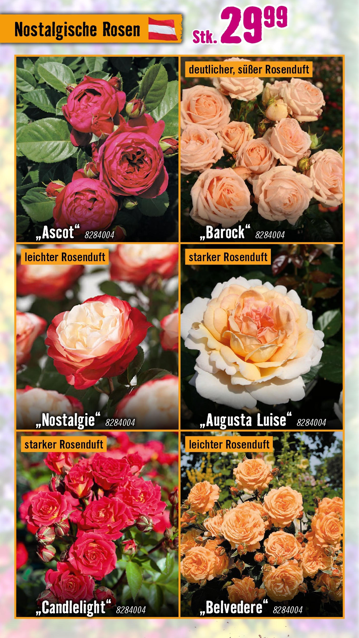 Hornbach Flugblatt (07.05.2025) || Aktuelle Angebote | Seite: 12 | Produkte: Blumentopf Hornbach Flugblatt von 07.05.2025 - Aktuelle Angebote | Seite: 12 | Produkte: Blumentopf