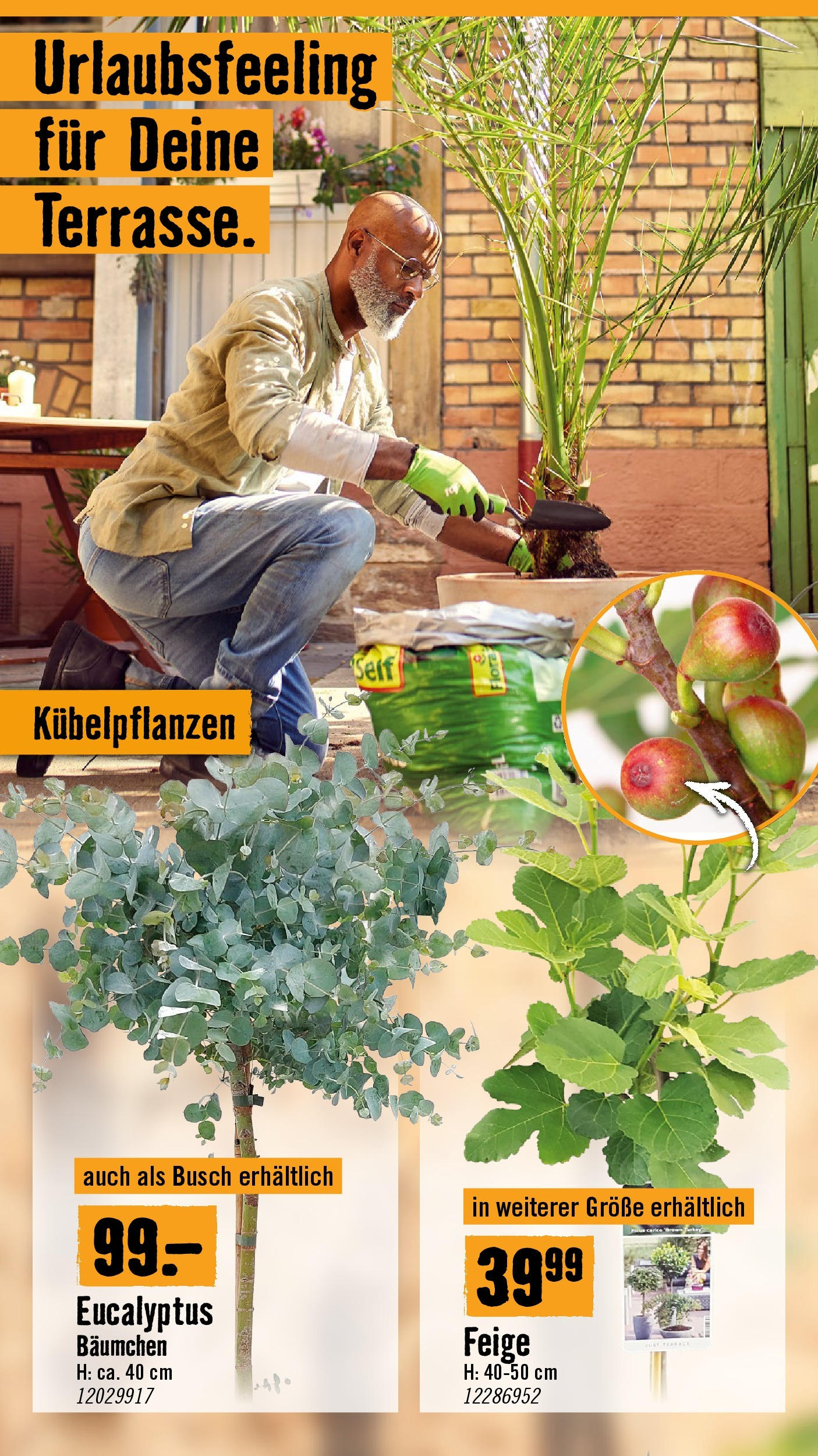 Hornbach Flugblatt (07.05.2025) || Aktuelle Angebote | Seite: 15 Hornbach Flugblatt von 07.05.2025 - Aktuelle Angebote | Seite: 15