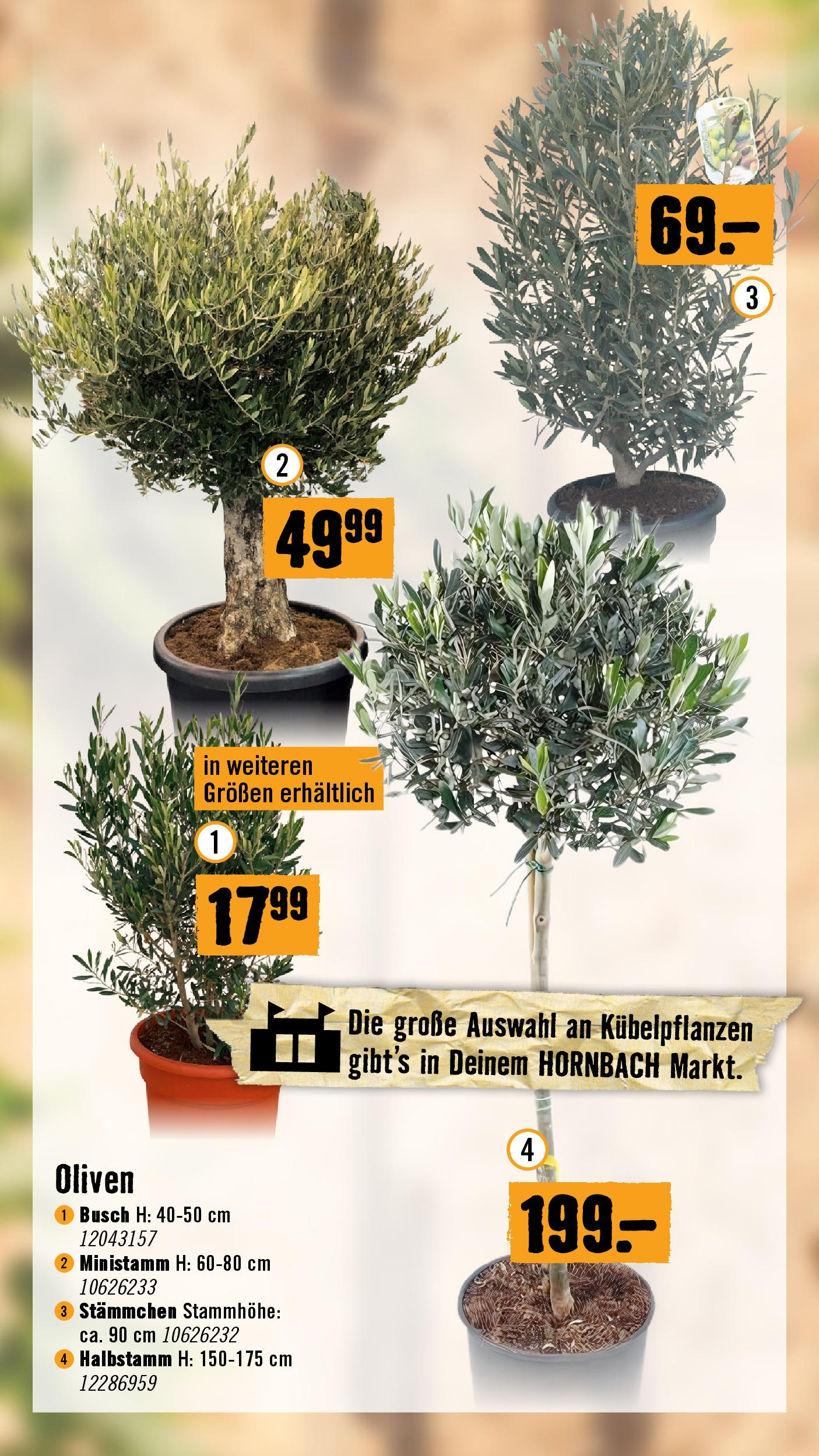 Hornbach Flugblatt (07.05.2025) || Aktuelle Angebote | Seite: 16 Hornbach Flugblatt von 07.05.2025 - Aktuelle Angebote | Seite: 16