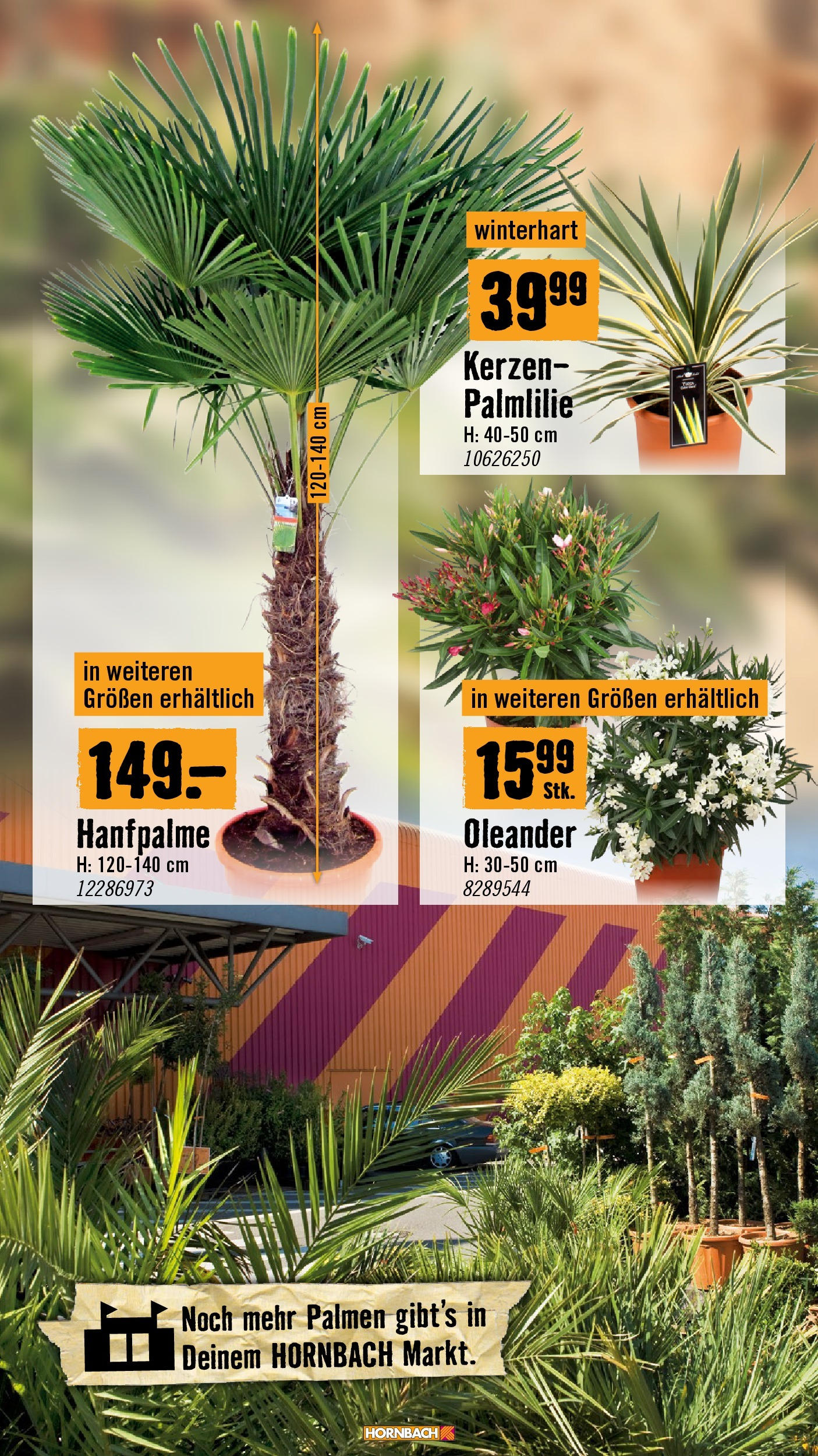 Hornbach Flugblatt (07.05.2025) || Aktuelle Angebote | Seite: 18 | Produkte: Flocken Hornbach Flugblatt von 07.05.2025 - Aktuelle Angebote | Seite: 18 | Produkte: Flocken