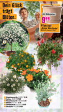 Hornbach Hornbach: Alles neu macht der Mai. Und Du! - bis 04.06.2025