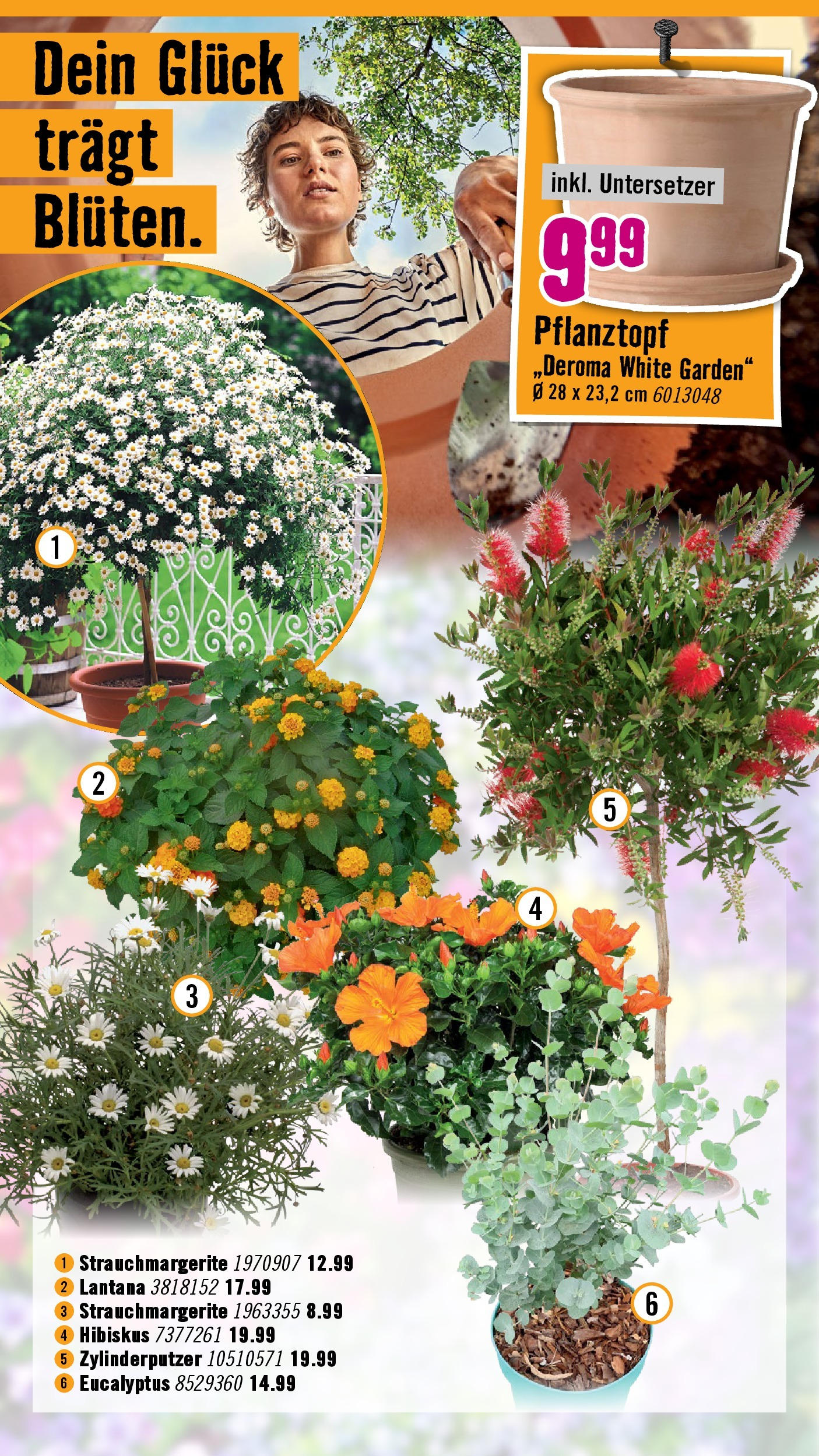 Hornbach Flugblatt (07.05.2025) || Aktuelle Angebote | Seite: 19 Hornbach Flugblatt von 07.05.2025 - Aktuelle Angebote | Seite: 19
