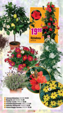 Hornbach Hornbach: Alles neu macht der Mai. Und Du! - bis 04.06.2025