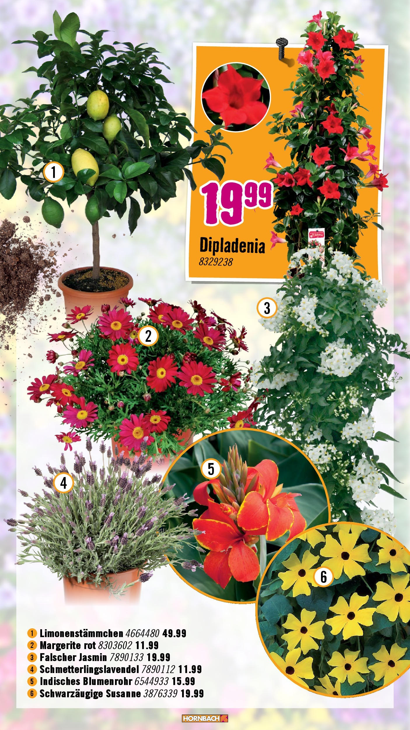 Hornbach Flugblatt (07.05.2025) || Aktuelle Angebote | Seite: 20 | Produkte: Rasenmäher Hornbach Flugblatt von 07.05.2025 - Aktuelle Angebote | Seite: 20 | Produkte: Rasenmäher