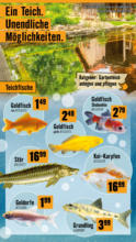 Hornbach Hornbach: Alles neu macht der Mai. Und Du! - bis 04.06.2025