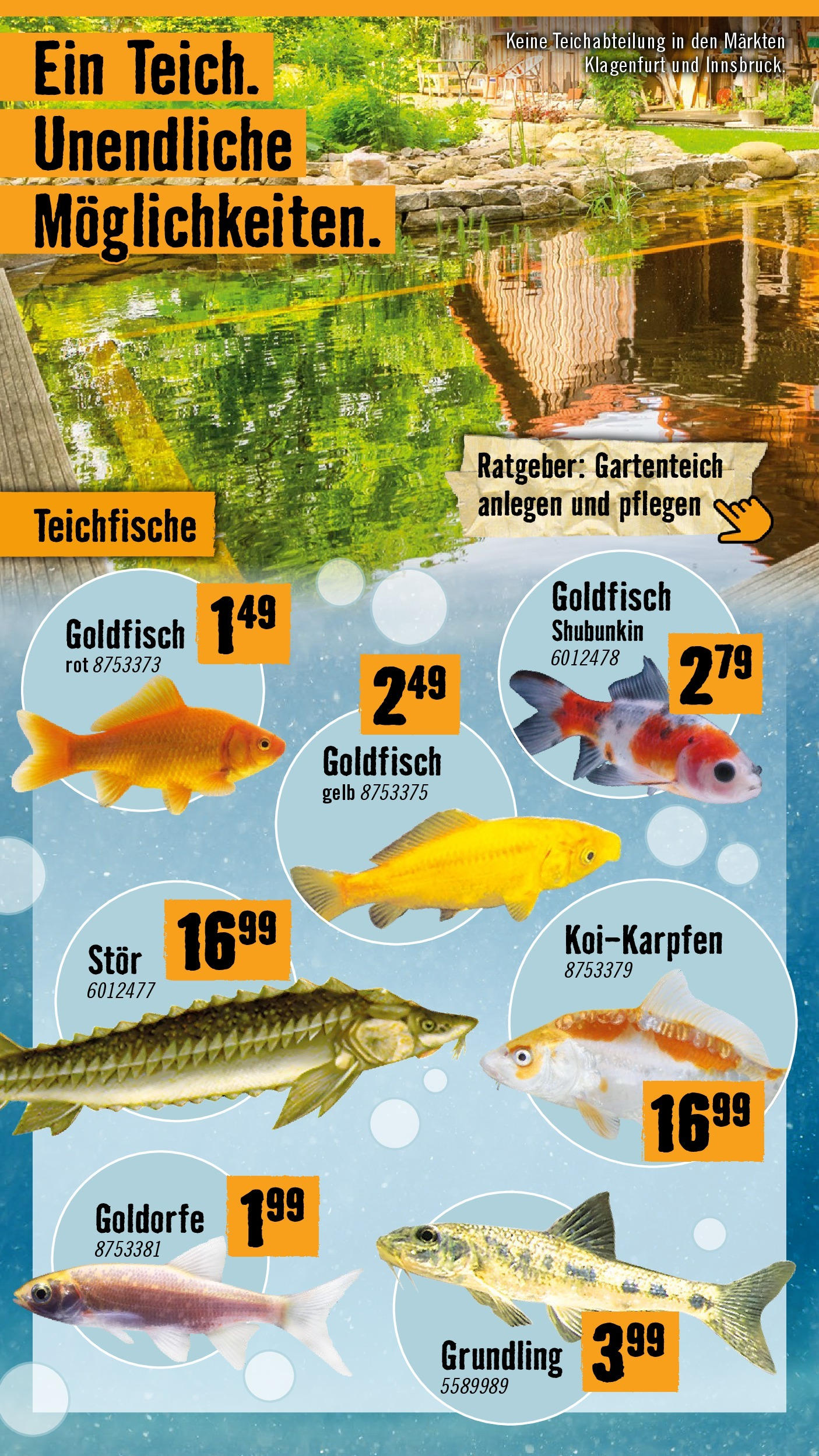 Hornbach Flugblatt (07.05.2025) || Aktuelle Angebote | Seite: 31 | Produkte: Gartenmöbel Hornbach Flugblatt von 07.05.2025 - Aktuelle Angebote | Seite: 31 | Produkte: Gartenmöbel