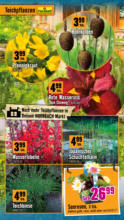 Hornbach Hornbach: Alles neu macht der Mai. Und Du! - bis 04.06.2025