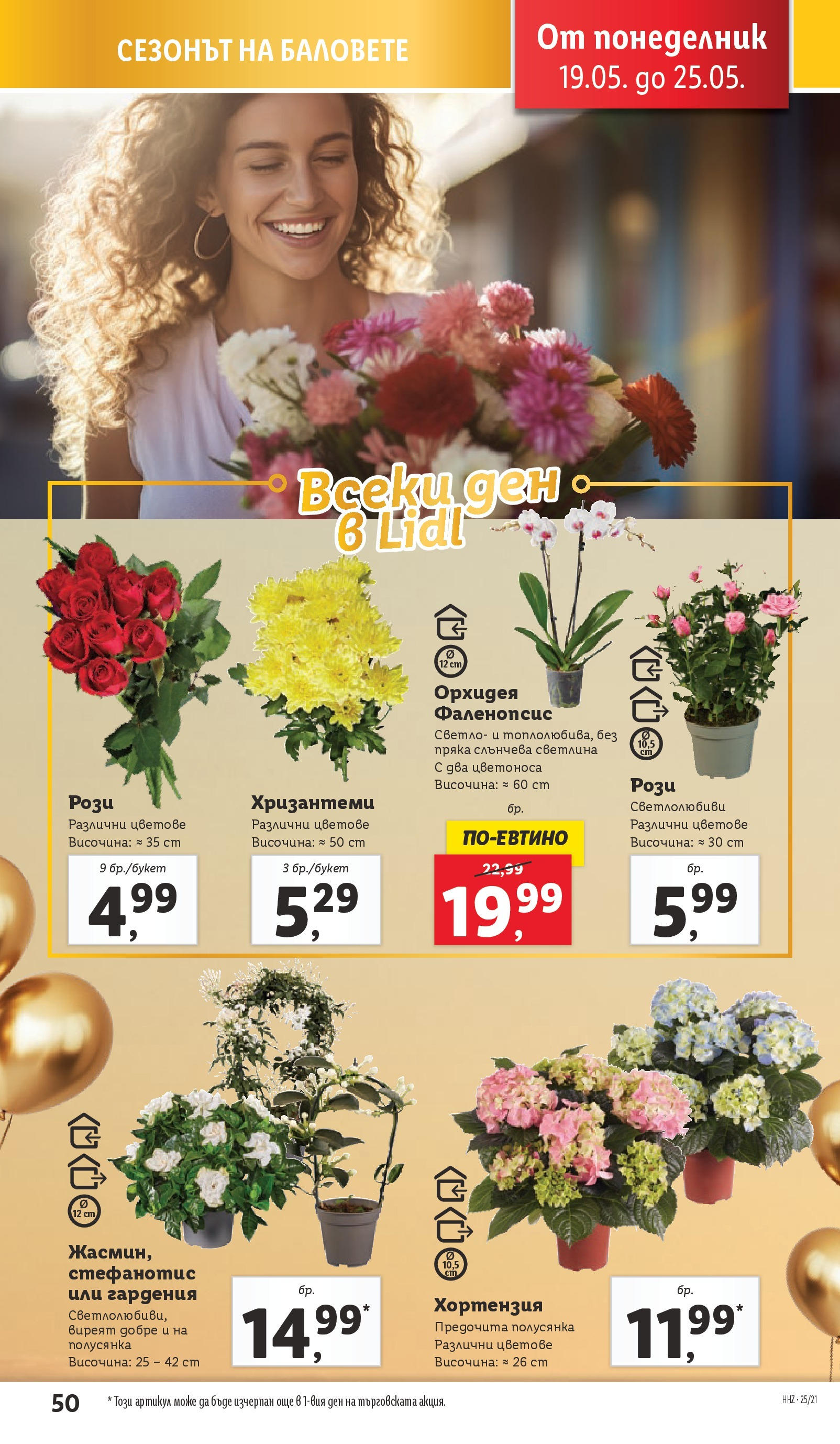Лидл брошура от 19.05.2025 - LIDL broshura "Cедмична брошура на Лидл" | Страница: 50 | Продукти: Орхидея Лидл брошура от 19.05.2025 - LIDL broshura "Cедмична брошура на Лидл" | Страница: 50 | Продукти: Орхидея