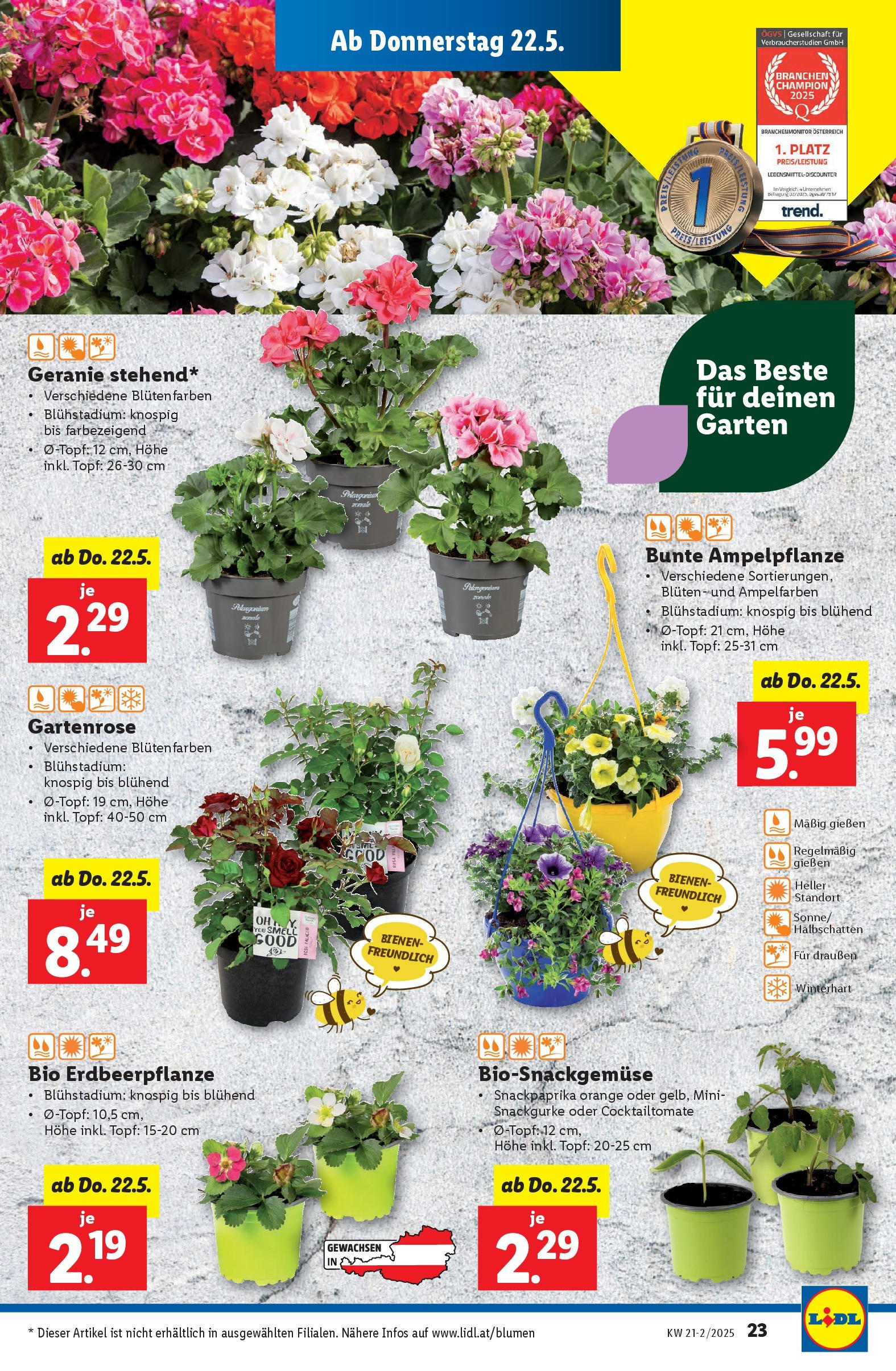 Lidl Flugblatt - Wien, Langenzersdorf, St. Pölten ab 21.05.2025 ✳️ Angebote ab donnerstag | Seite: 25 Lidl Flugblatt - Wien, Langenzersdorf, St. Pölten ab 21.05.2025 - Angebote ab donnerstag | Seite: 25