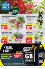 Lidl Österreich Lidl: Flugblatt in deiner Nähe - ab 22.05.2025