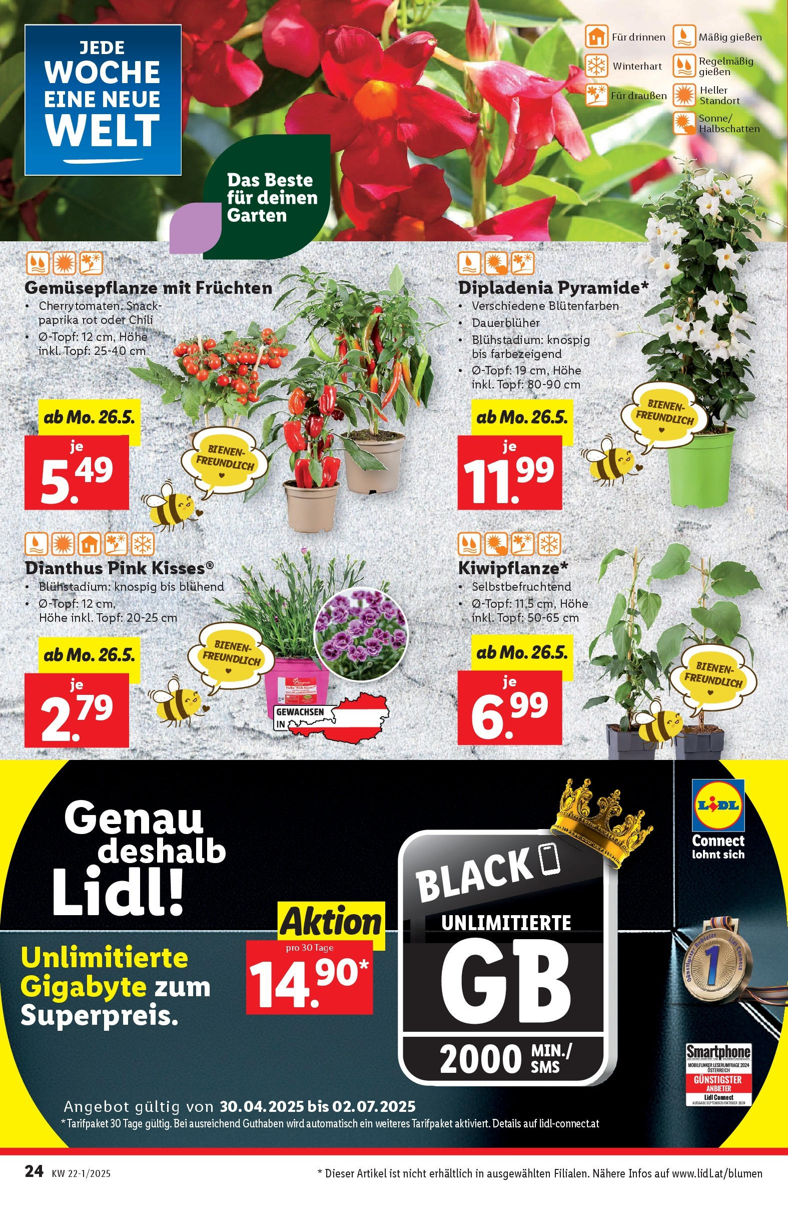 Lidl Flugblatt - Wien, Langenzersdorf, St. Pölten ab 21.05.2025 ✳️ Angebote ab donnerstag | Seite: 26 | Produkte: Chili, Smartphone Lidl Flugblatt - Wien, Langenzersdorf, St. Pölten ab 21.05.2025 - Angebote ab donnerstag | Seite: 26 | Produkte: Chili, Smartphone