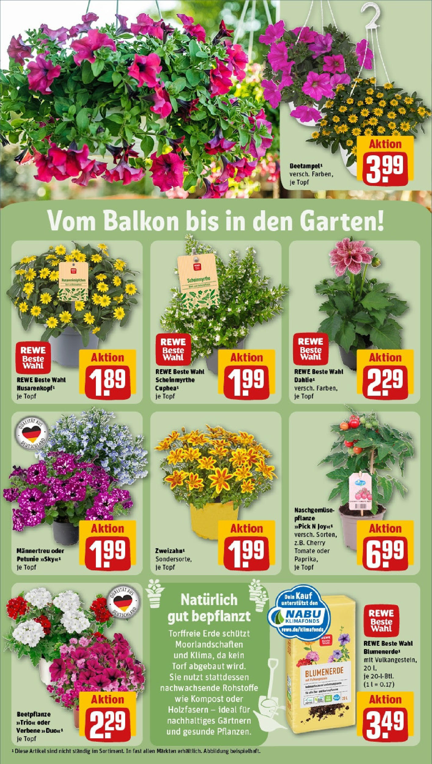 Rewe - Rewe: Wochenangebote (ab 18.05.2025) zum Blättern » Angebote | Seite: 29 | Produkte: Blumenerde Rewe - Rewe: Wochenangebote (ab 18.05.2025) zum Blättern » Angebote | Seite: 29 | Produkte: Blumenerde