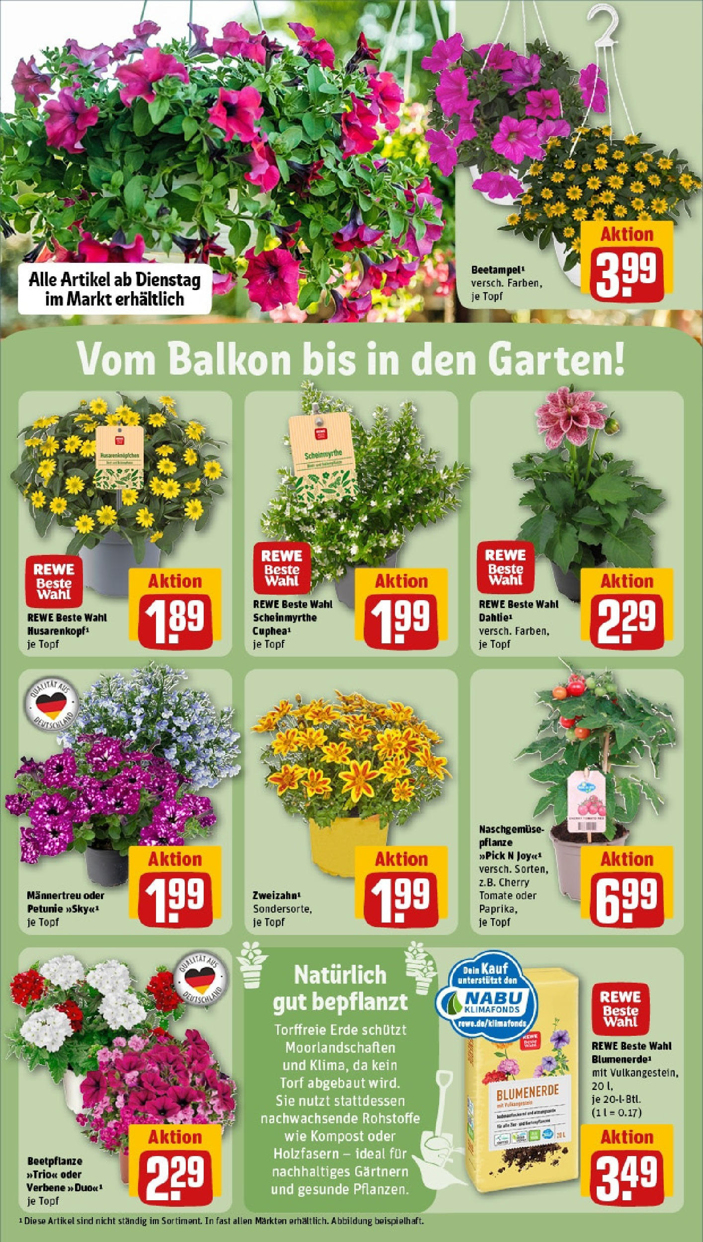 Rewe - Rewe: Wochenangebote (ab 18.05.2025) zum Blättern » Angebote | Seite: 29 | Produkte: Blumenerde Rewe - Rewe: Wochenangebote (ab 18.05.2025) zum Blättern » Angebote | Seite: 29 | Produkte: Blumenerde