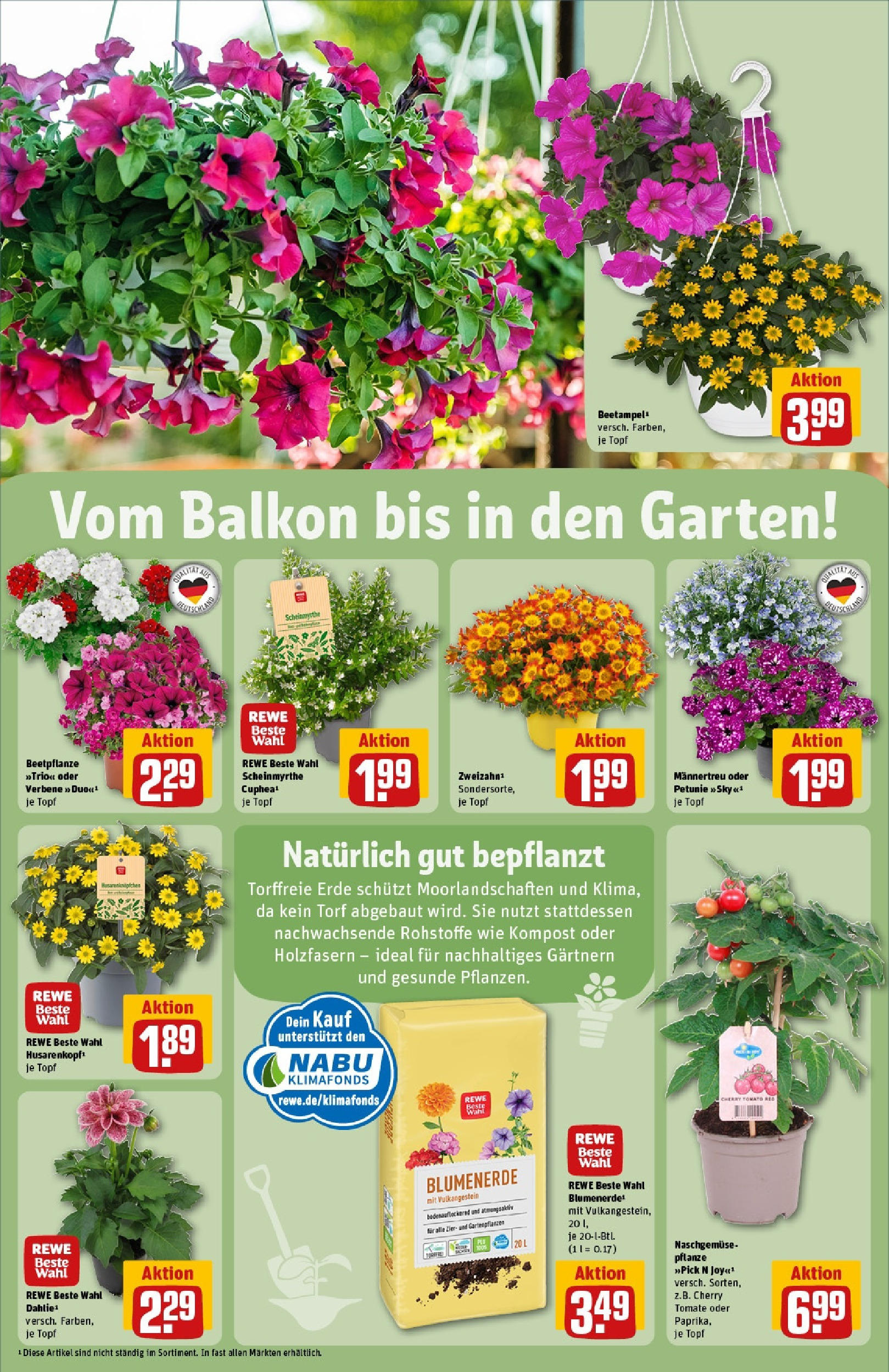 Rewe - Rewe: Wochenangebote (ab 18.05.2025) zum Blättern » Angebote | Seite: 29 | Produkte: Blumenerde Rewe - Rewe: Wochenangebote (ab 18.05.2025) zum Blättern » Angebote | Seite: 29 | Produkte: Blumenerde