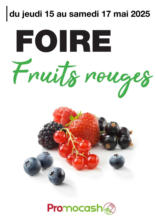 Fruits rouges