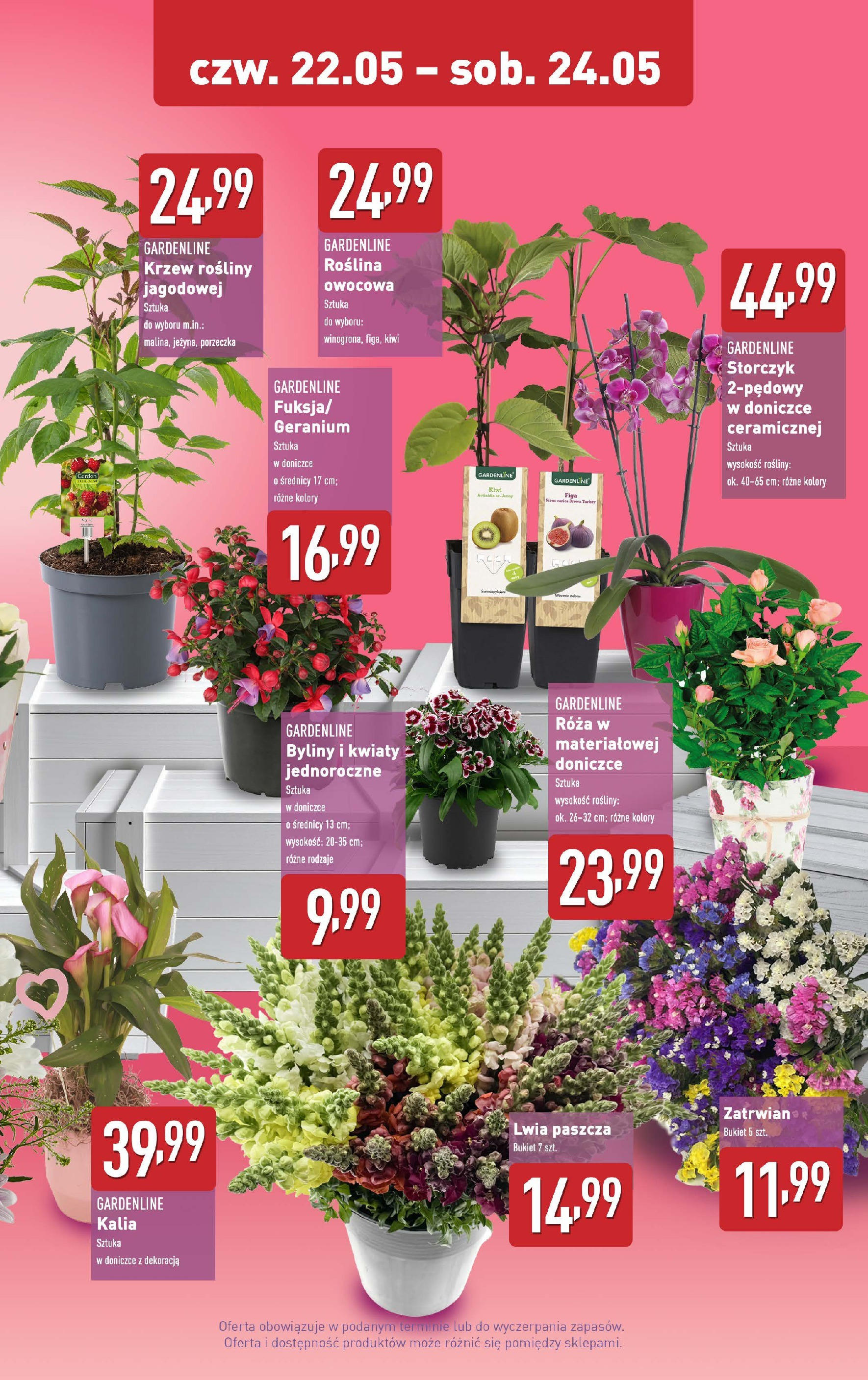 Aldi Gazetka - Promocja Dzień Matki od 22.05.2025 - Ulotka PDF, promocje | Strona: 2 | Produkty: Rosliny, Storczyk, Kiwi, Kwiaty