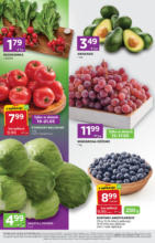 Najlepsze oferty dla wszystkich klientów