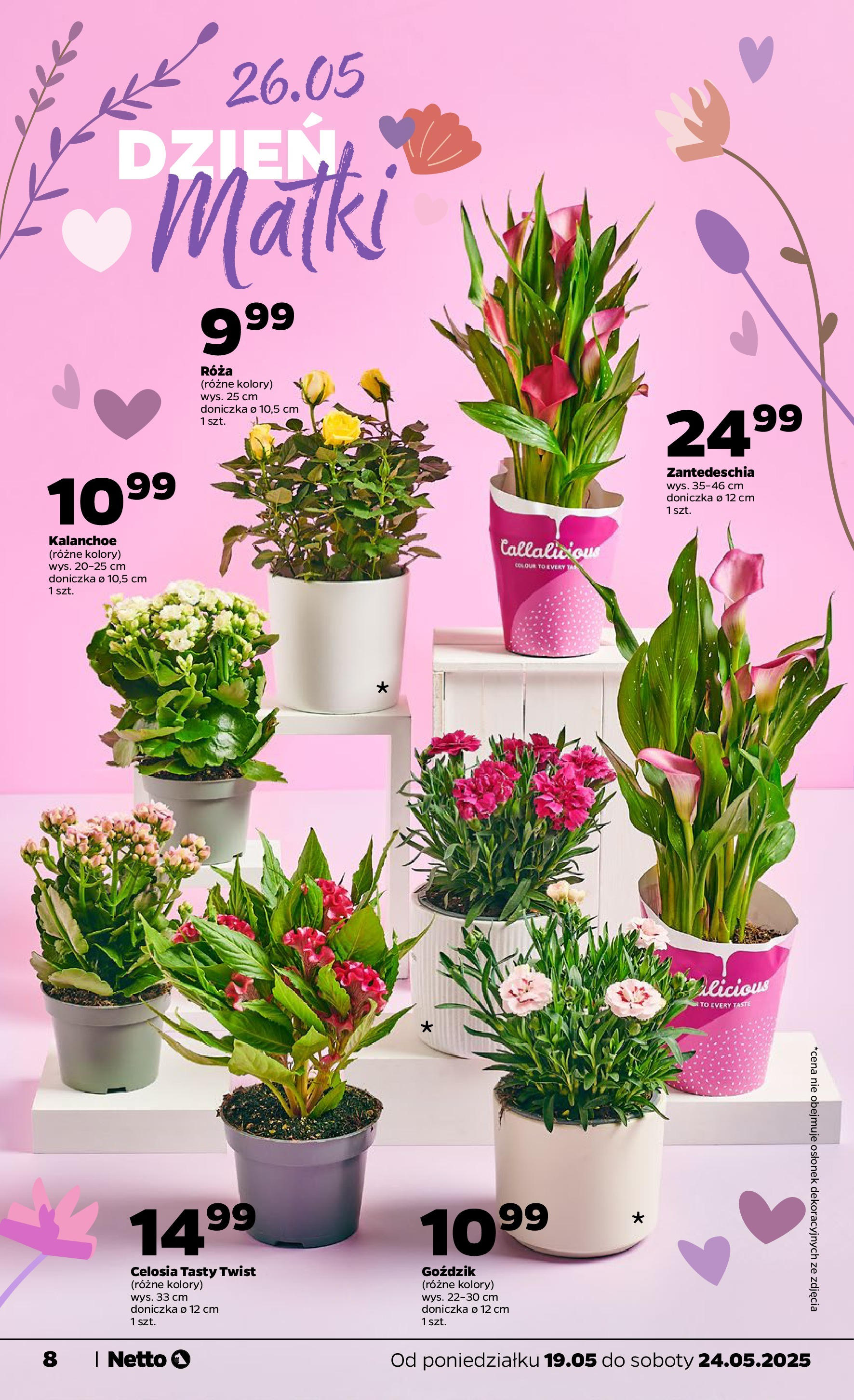 Netto - NETTO T21A ważne do 24.05 od 18.05.2025 | Promocje | Strona: 8 | Produkty: Goździk, Doniczka, Kalanchoe Netto - NETTO T21A ważne do 24.05 od 18.05.2025 - Aktualne promocje | Strona: 8 | Produkty: Goździk, Doniczka, Kalanchoe