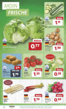 Unsere Combi Wochenangebote