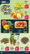 Netto APS : Wochenangebote