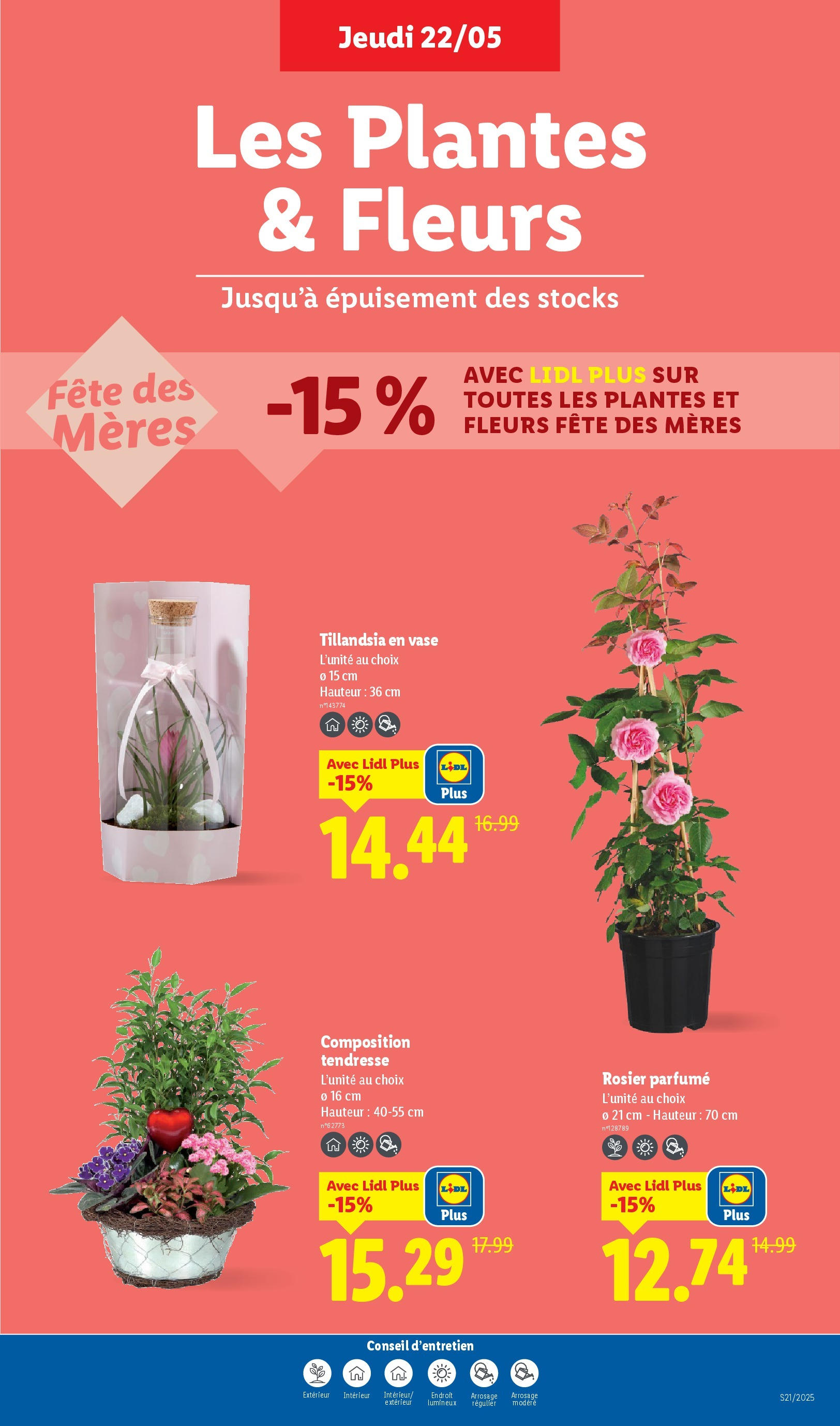 Catalogue LIDL du 21/05/2025 | Promo prospectus en ligne | Page: 29 | Produits: Rosier, Plantes, Vase Catalogue LIDL du 21/05/2025 | Promo prospectus en ligne | Page: 29 | Produits: Rosier, Plantes, Vase