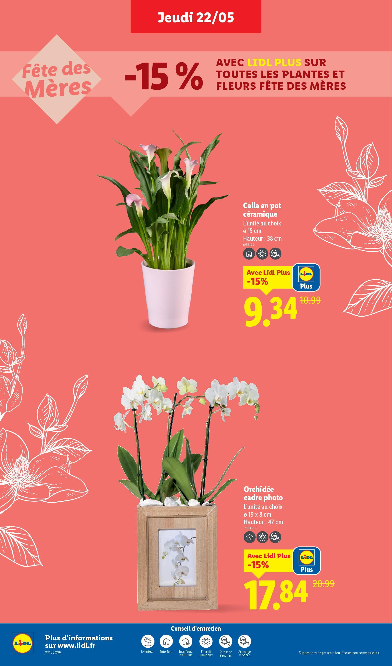 Catalogue LIDL du 21/05/2025 | Promo prospectus en ligne | Page: 30 | Produits: Plantes, Orchidée, Cadre Catalogue LIDL du 21/05/2025 | Promo prospectus en ligne | Page: 30 | Produits: Plantes, Orchidée, Cadre