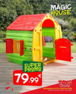 Toys company Magic House - al 31.05.2025