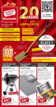 Sonderpreis Baumarkt: Sparen wie ein Profi!