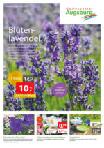 Gartencenter Augsburg: Wochenangebote