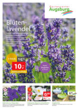 Gartencenter Augsburg: Wochenangebote