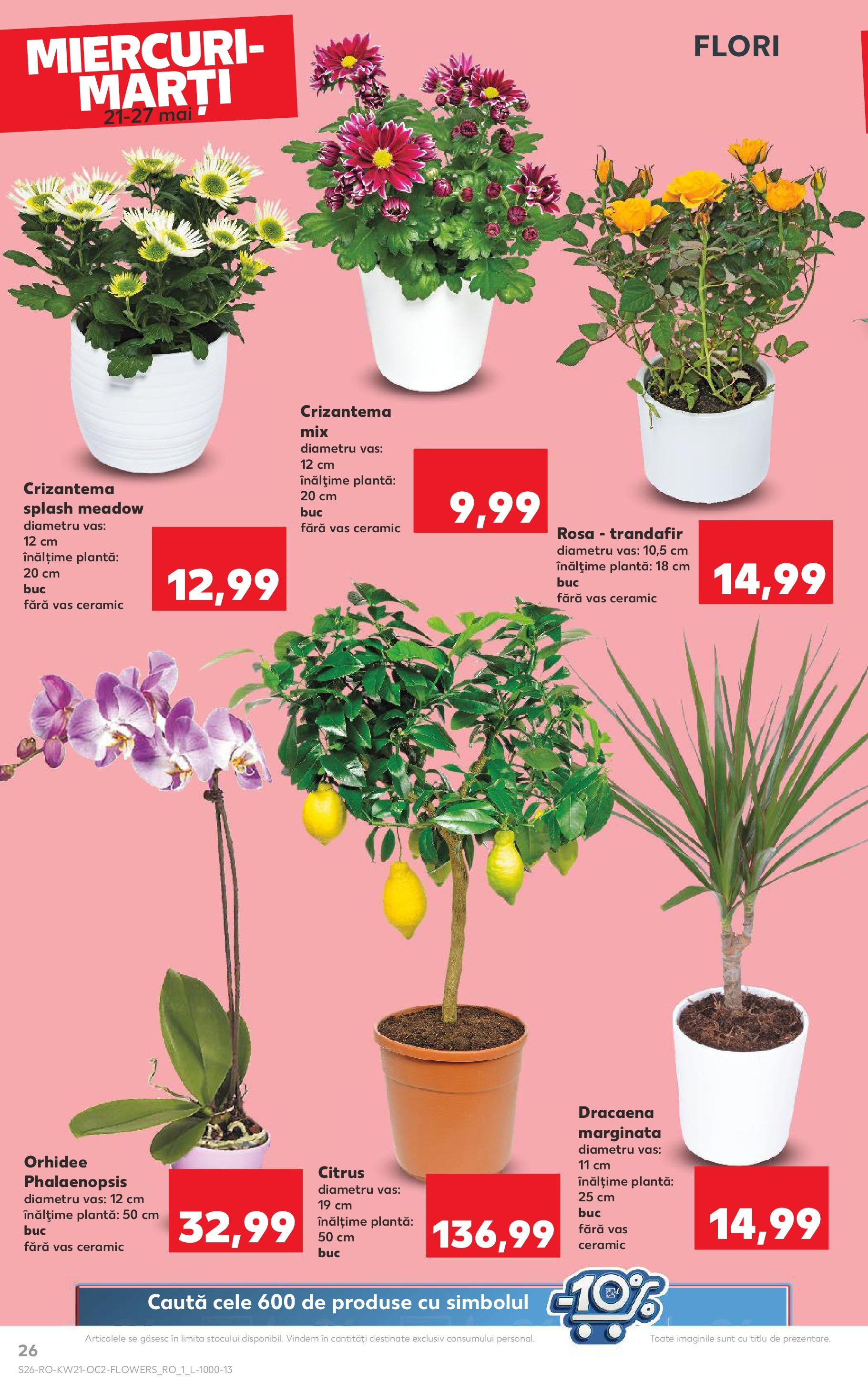 Catalog Kaufland - Sibiu 21.05.2025 || Revista si Oferte | Pagină: 26 | Produse: Trandafir, Orhidee Catalog Kaufland - Sibiu 21.05.2025 - Revista si Oferta | Pagină: 26 | Produse: Trandafir, Orhidee