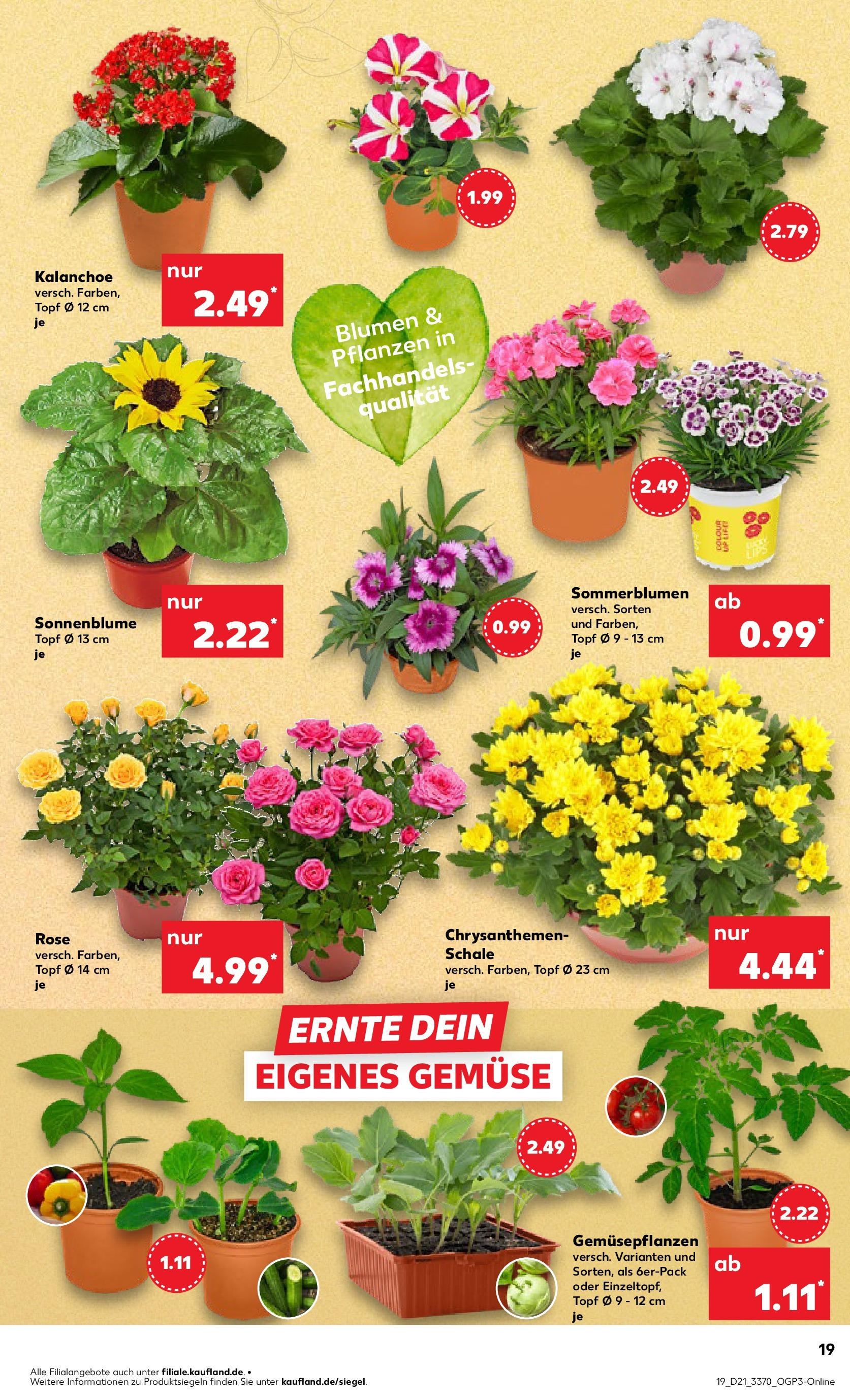 Kaufland prospekt Berlin (ab 21.05.2025) » Angebote Online | Seite: 19 Kaufland prospekt Berlin (ab 21.05.2025) » Angebote Online zum Blättern | Seite: 19