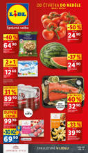 Lidl Lidl leták do 25.05.2025 – do 25.05.2025