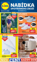 Lidl Lidl leták do 25.05.2025 – do 25.05.2025