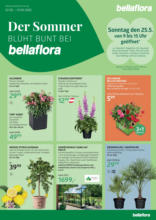 Bellaflora: Flugblatt