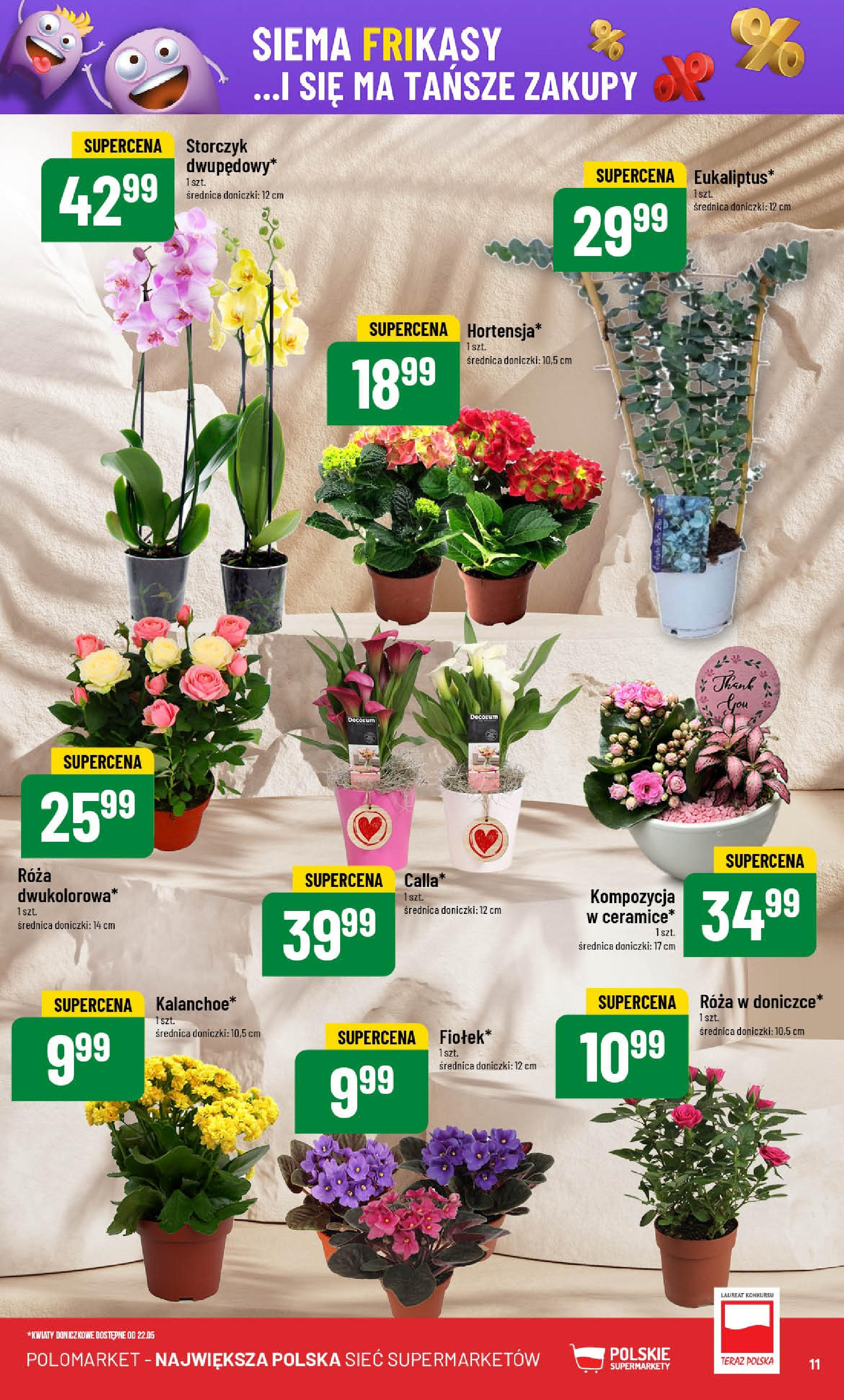 POLOmarket gazetka od jutra (21.05.2025) | Nowa PDF | Strona: 11 | Produkty: Doniczki, Kalanchoe, Storczyk POLOmarket gazetka od jutra (21.05.2025) - Nowa PDF | Strona: 11 | Produkty: Doniczki, Kalanchoe, Storczyk