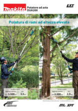 Potatura di rami ad altezza elevata