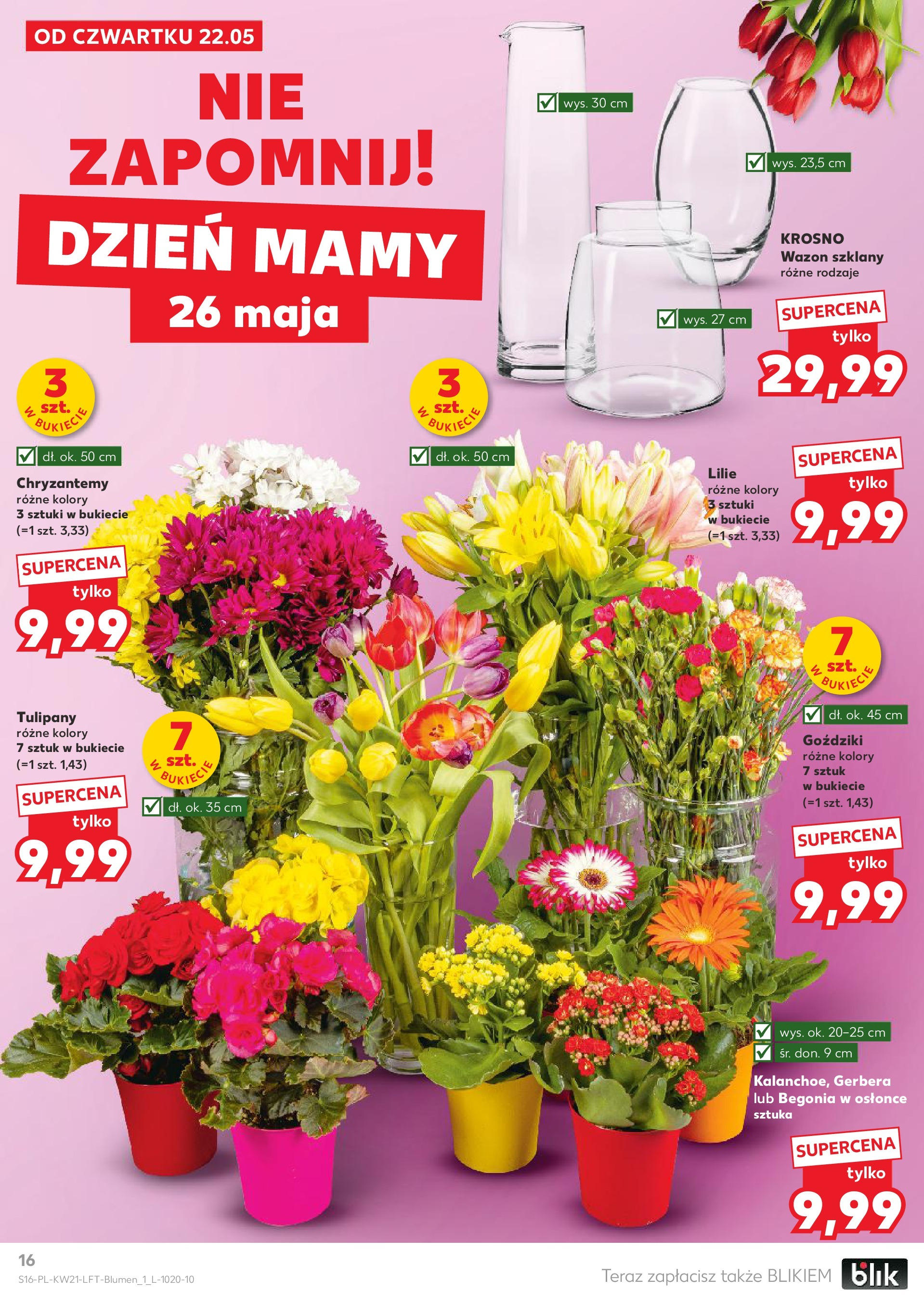 Kaufland gazetka (22.05.2025) - od jutra | Strona: 16 | Produkty: Goździki, Chryzantemy, Wazon, Tulipany Kaufland gazetka od 22.05.2025 - od jutra PDF | Strona: 16 | Produkty: Goździki, Chryzantemy, Wazon, Tulipany