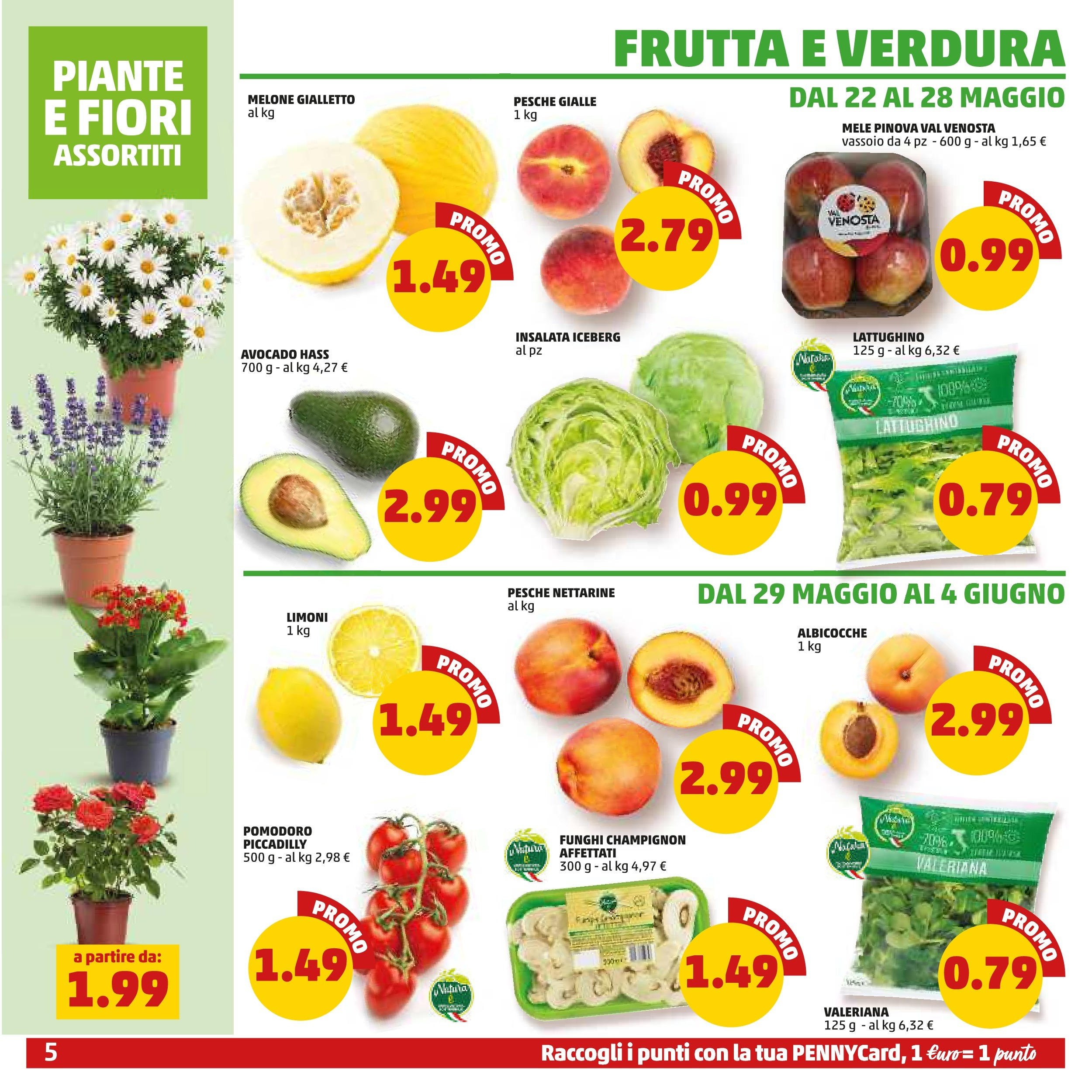 Volantino PENNY dal 21/05/2025 anteprima > (Volantino PENNY ) | Pagina: 5 | Prodotti: Valeriana, Insalata, Frutta, Vassoio Volantino PENNY dal 21/05/2025 anteprima > (Volantino PENNY ) | Pagina: 5 | Prodotti: Valeriana, Insalata, Frutta, Vassoio