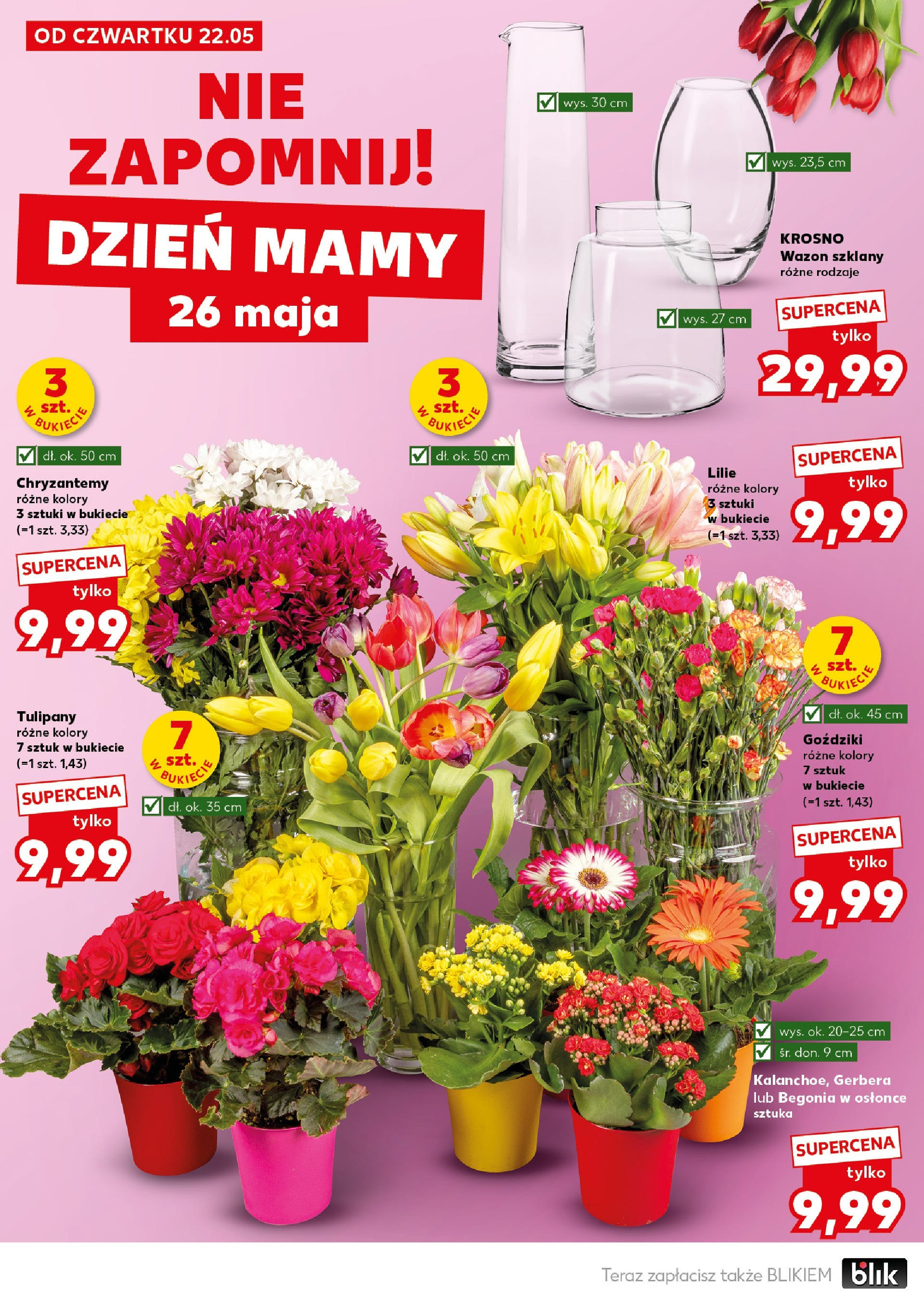 Kaufland gazetka - Mega okazje (22.05.2025) - od jutra | Strona: 6 | Produkty: Goździki, Chryzantemy, Wazon, Tulipany Kaufland gazetka - Mega okazje od 22.05.2025 - od jutra PDF | Strona: 6 | Produkty: Goździki, Chryzantemy, Wazon, Tulipany