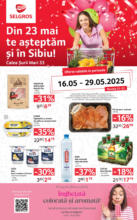 Catalog Selgros până în data de 29.05.2025