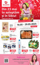 Catalog Selgros până în data de 29.05.2025