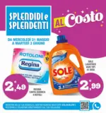 Splendidi e Splendenti Al costo - al 03.06.2025