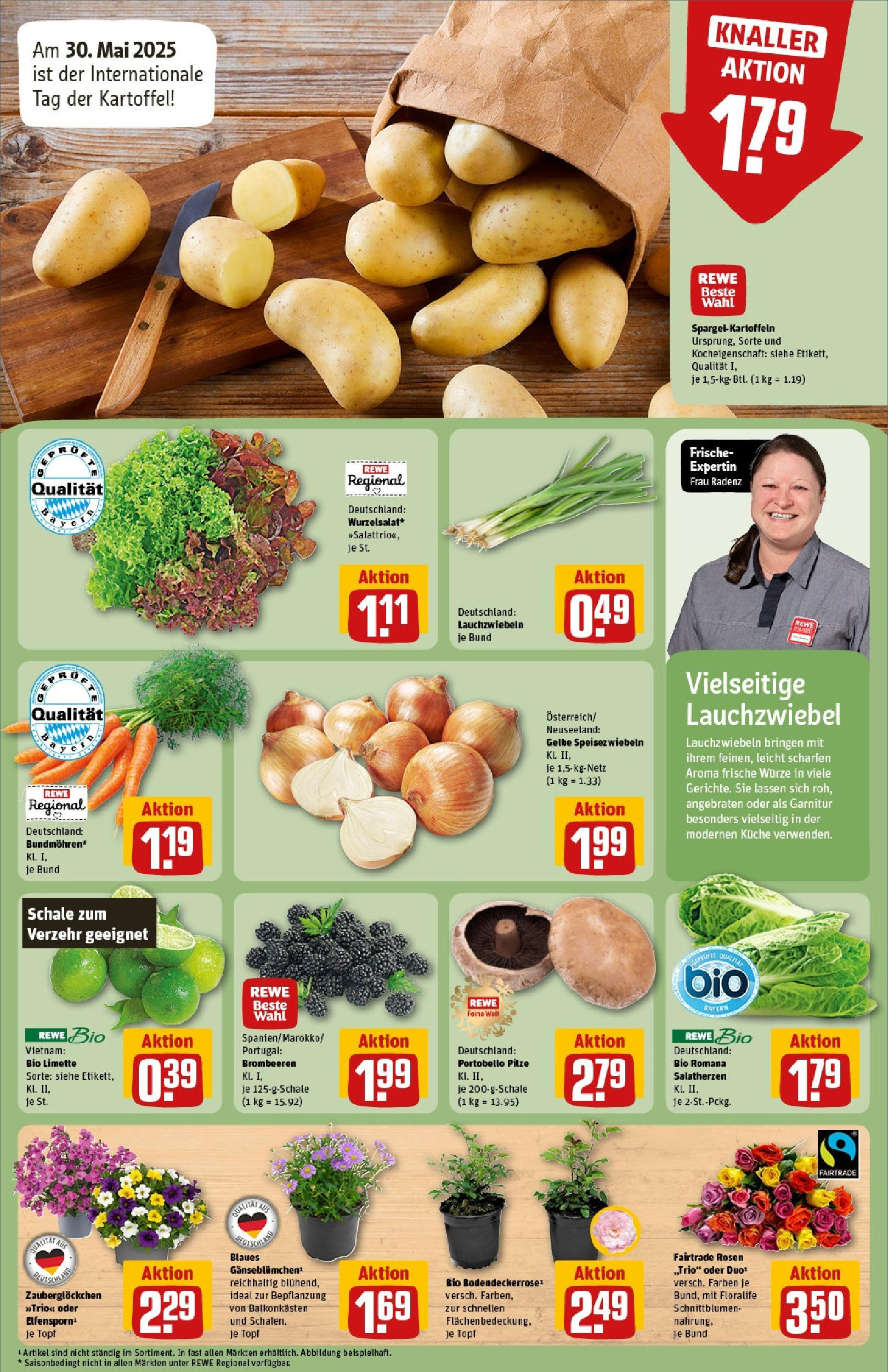 Rewe prospekt Olching Geiselbullach	 (ab 25.05.2025) zum Blättern » Angebote | Seite: 7 | Produkte: Küche, Limette