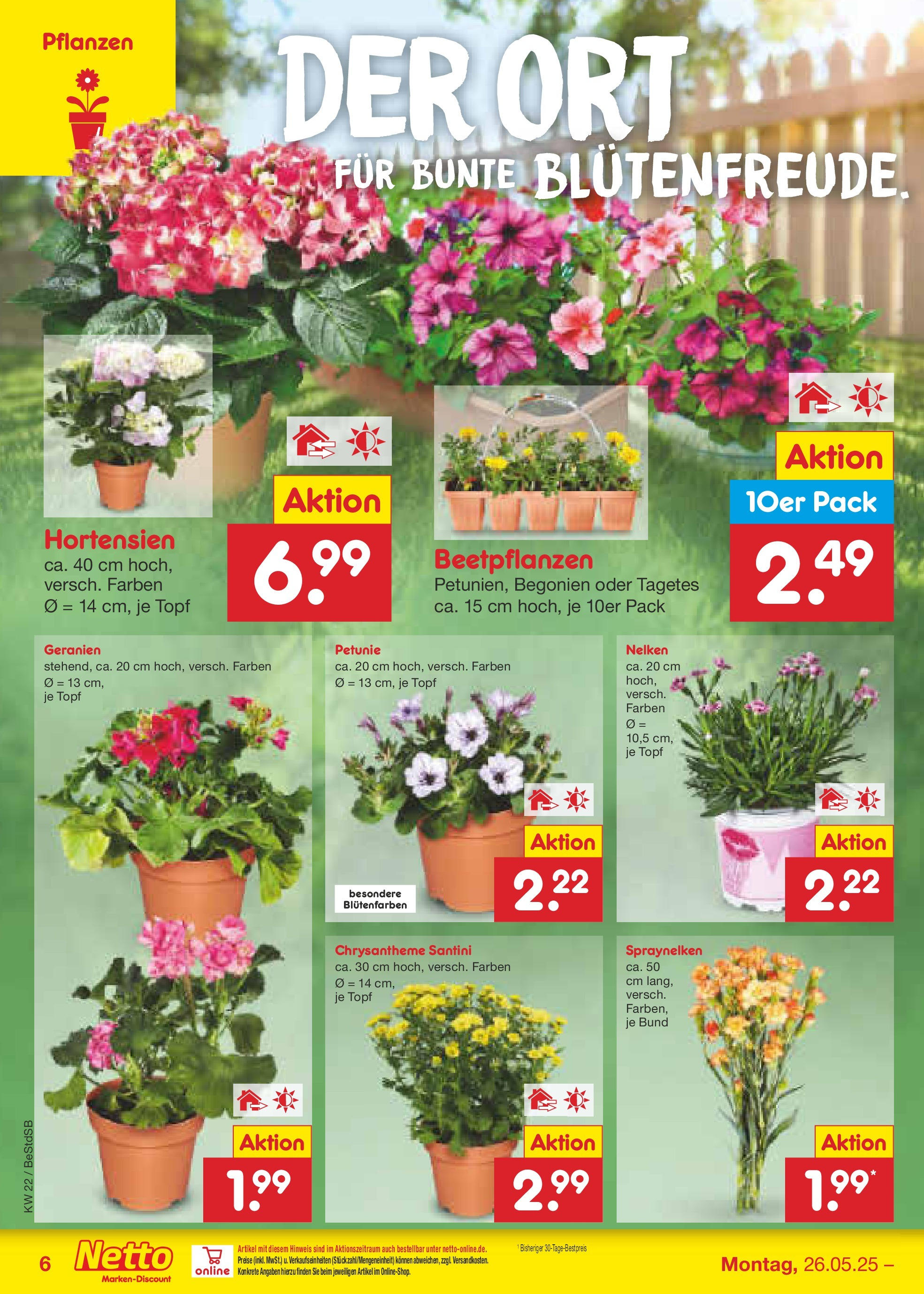 Netto Marken-Discount prospekt Berlin-Spandau (ab 26.05.2025) » Angebote | Seite: 8 | Produkte: Geranien Netto Marken-Discount prospekt Berlin-Spandau (ab 26.05.2025) » Angebote | Seite: 8 | Produkte: Geranien