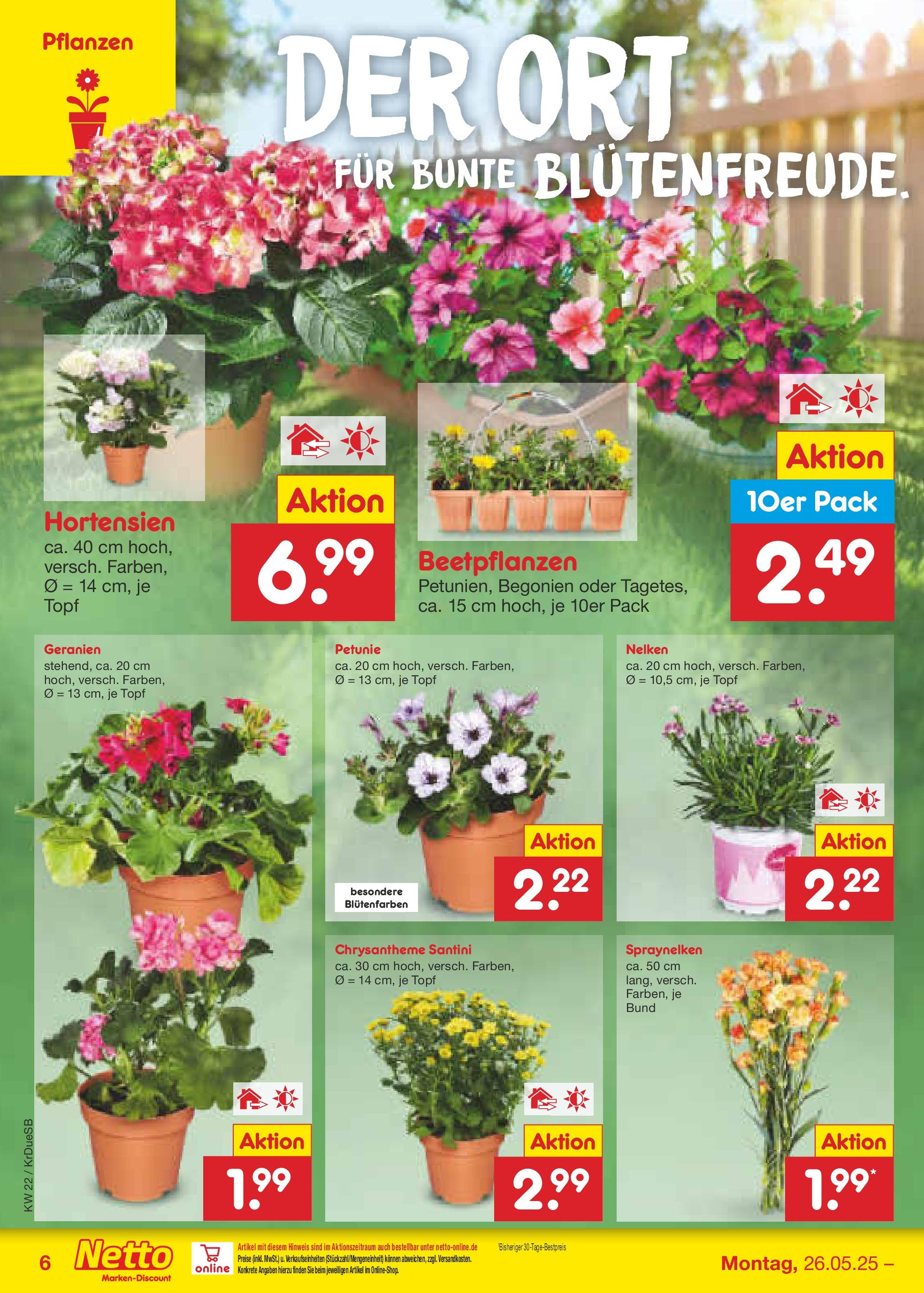 Netto Marken-Discount prospekt Düsseldorf-Rath (ab 26.05.2025) » Angebote | Seite: 8 | Produkte: Geranien